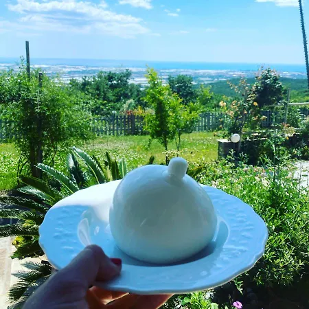 Holiday home Panorama